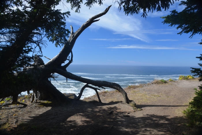 coastal trail